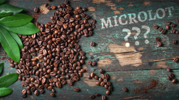 Microlot – co to jest?