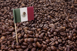 Kawa w Meksyku